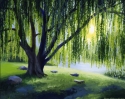 Willow's Stone Circle, Maryland Willow%27s%20Stone%20Circle%2C%20Maryland (thumbnail)