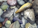 Renvyle Beach Stones, Ireland, No. 18 Renvyle%20Beach%20Stones%2C%20Ireland%2C%20No.%2018 (thumbnail)