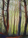 Light Through Temperate Woods, WA Light%20Through%20Temperate%20Woods%2C%20WA (thumbnail)