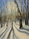 Winter Lane Shadows, Maryland Winter%20Lane%20Shadows%2C%20Maryland (thumbnail)