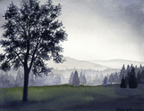 Alpen%20Mist%2C%20France (thumbnail)