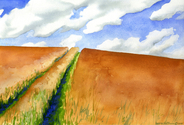 Farm%20Field%20Track%2C%20WV (thumbnail)