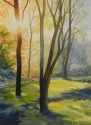 Drawn To The Light, Maryland Drawn%20To%20The%20Light%2C%20Maryland (thumbnail)