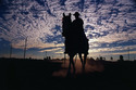 dark%20horse (thumbnail)