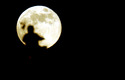 moonride (thumbnail)