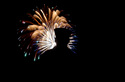 watching%20the%20fireworks (thumbnail)