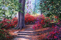 Stairs to Edisto Stairs%20to%20Edisto (thumbnail)