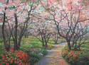Spring Blossom Path Spring%20Blossom%20Path (thumbnail)