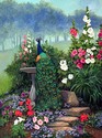 Peacocks 'n Hollyhocks Peacocks%20%27n%20Hollyhocks (thumbnail)