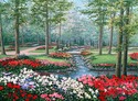 Tulip Brook Tulip%20Brook (thumbnail)