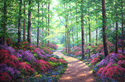 Woodland Walk Woodland%20Walk (thumbnail)