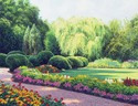 Sun on the Willows Sun%20on%20the%20Willows (thumbnail)