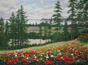 Broadview Broadview (thumbnail)