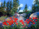 Natural Beauty Natural%20Beauty (thumbnail)