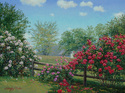 American Dream American%20Dream (thumbnail)