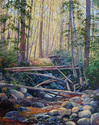 Beaver Creek Beaver%20Creek (thumbnail)