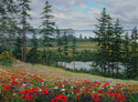 Broadview Broadview (thumbnail)