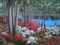 Callaway Pond Callaway%20Pond (thumbnail)
