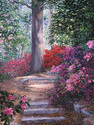 Edisto Springs Edisto%20Springs (thumbnail)
