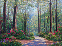 Forest Beauty Forest%20Beauty (thumbnail)