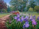 Iris and Peonies Iris%20and%20Peonies (thumbnail)