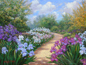 Iris Path Iris%20Path (thumbnail)