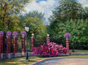 Lamplight Roses Lamplight%20Roses (thumbnail)