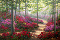 Woodland Trail Woodland%20Trail (thumbnail)