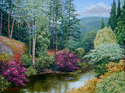 Shady Cove Shady%20Cove (thumbnail)