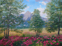 Shady Moutain View Shady%20Moutain%20View (thumbnail)