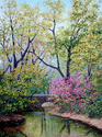 Spring Crossing Spring%20Crossing (thumbnail)