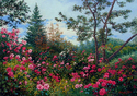 Wild Roses Wild%20Roses (thumbnail)