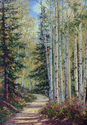 Wilderness Path Wilderness%20Path (thumbnail)