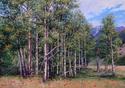 Summer Aspens Summer%20Aspens (thumbnail)