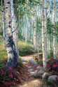 Never Ending Trail Never%20Ending%20Trail (thumbnail)