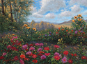 Life's Splendor Life%27s%20Splendor (thumbnail)