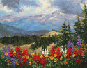 Wildflower Blossoms Wildflower%20Blossoms (thumbnail)