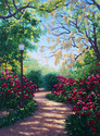 Mossy Oak Walkway Mossy%20Oak%20Walkway (thumbnail)