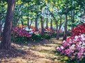 Spring Primrose Spring%20Primrose (thumbnail)