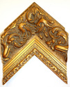 OM78820 (thumbnail)