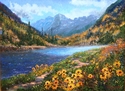 Balck Eyed Susan's at the Bells Balck%20Eyed%20Susan%27s%20at%20the%20Bells (thumbnail)