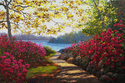 Path to Delight Path%20to%20Delight (thumbnail)