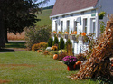 Our gallery on the farm Our%20gallery%20on%20the%20farm (thumbnail)