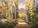 Light in the Aspen Light%20in%20the%20Aspen (thumbnail)
