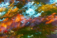 Autumn (thumbnail)