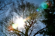Sun (thumbnail)