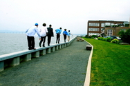 Walking%20on%20Wall (thumbnail)