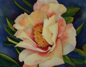 Tree%20Peony (thumbnail)