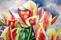 Tulips%20 (thumbnail)