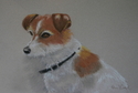 Karen Frattali - Animals Drawing Karen Frattali, dogs, Jack Russell terrier, pastel, companion canine. - Animals Drawing